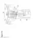 Fig. 103 - Recovery and processing of human embryos formed in vivo