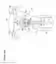 Fig. 104 - Recovery and processing of human embryos formed in vivo