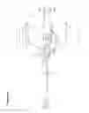 Fig. 55 - Recovery and processing of human embryos formed in vivo
