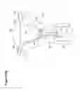 Fig. 90 - Recovery and processing of human embryos formed in vivo
