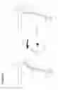 Fig. 95 - Recovery and processing of human embryos formed in vivo