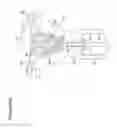 Fig. 98 - Recovery and processing of human embryos formed in vivo
