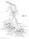 Fig. 08 - Osteotomy instrument