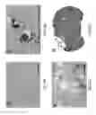 Fig. 07 - Immunotherapeutic methods using irreversible electroporation