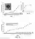 Fig. 22 - Methods and compositions for tissue adhesives