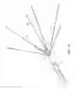 Fig. 02 - System for controlling ablation treatment and visualization