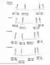 Fig. 62 - Partial dental arch and method for manufacturing a partial arch