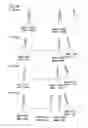 Fig. 65 - Partial dental arch and method for manufacturing a partial arch