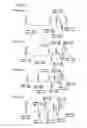 Fig. 66 - Partial dental arch and method for manufacturing a partial arch