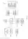 Fig. 08 - Temporal mandible data capture analysis and recommendation
