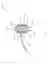 Fig. 72 - Systems for aspirating thrombus during neurosurgical procedures