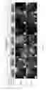 Fig. 05 - Artificial silk based innervated cornea