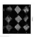 Fig. 23 - Artificial silk based innervated cornea