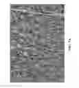 Fig. 09 - METHODS OF MAKING DURABLE MULTI-LAYER HIGH STRENGTH POLYMER COMPOSITE SUITABLE FOR IMPLANT AND ARTICLES PRODUCED THEREFROM