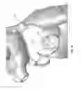 Fig. 22 - Systems and methods for delivery of annuloplasty rings