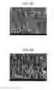 Fig. 07 - NANOFIBER COMPOSITE MEMBRANE FOR GUIDED BONE REGENERATION, AND MANUFACTURING METHOD THEREFOR