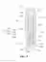 Fig. 04 - Spinal implant