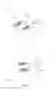Fig. 08 - Spinal implant