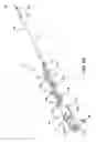 Fig. 06 - METHODS FOR PLACING A STENT IN A BRANCHED VESSEL