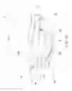 Fig. 09 - Elbow orthosis