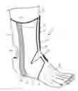 Fig. 01 - ANKLE SUPPORT