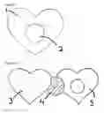 Fig. 02 - Absorbent Adhesive Nipple Cover