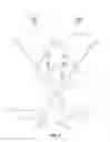 Fig. 06 - BIRTHING HARNESS