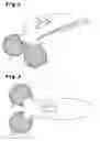 Fig. 02 - BEAUTY INSTRUMENT