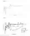 Fig. 07 - Oral composition