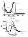 Fig. 05 - CHROMOPHORE COMBINATIONS FOR BIOPHOTONIC USES