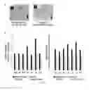 Fig. 05 - Stem Cell-Derived Exosomes Containing a High Amount of Growth Factors