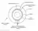 Fig. 01 - FORMULATIONS AND METHODS FOR REDUCTION OF INTRAOCULAR PRESSURE