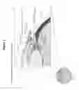 Fig. 02 - FORMULATIONS AND METHODS FOR REDUCTION OF INTRAOCULAR PRESSURE