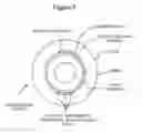 Fig. 06 - FORMULATIONS AND METHODS FOR REDUCTION OF INTRAOCULAR PRESSURE