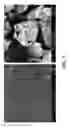 Fig. 02 - Nanocrystal Microparticles of Poorly Soluble Drugs and Methods of Production and Use Thereof