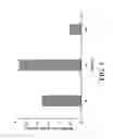 Fig. 04 - Nanocrystal Microparticles of Poorly Soluble Drugs and Methods of Production and Use Thereof