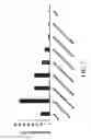 Fig. 08 - Nanocrystal Microparticles of Poorly Soluble Drugs and Methods of Production and Use Thereof