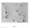 Fig. 04 - Microspheres containing therapeutic agents and related methods of use