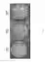 Fig. 07 - Dry powder composition comprising long-chain RNA
