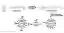 Fig. 01 - POLYMERIC NANOPARTICLES