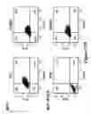 Fig. 37 - POLYMERIC NANOPARTICLES