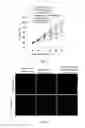 Fig. 06 - Polypeptide nano-bubbles and preparation method and application thereof