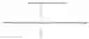 Fig. 02 - Method maintaining iron homeostasis with shogaols