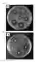 Fig. 05 - Antimicrobial composition containing 7,10-epoxyoctadeca-7,9-dienoic acid as active ingredient