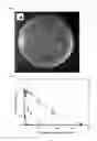 Fig. 06 - Antimicrobial composition containing 7,10-epoxyoctadeca-7,9-dienoic acid as active ingredient