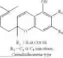 Fig. 09 - Transdermal Cannabinoid Patch