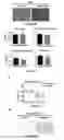 Fig. 08 - ARTEMISININ ANALOG, AND USE, METHOD, AND COMPOSITION FOR PROMOTING LIPID CATABOLISM AND IMPROVING SUGAR METABOLISM