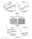 Fig. 09 - ARTEMISININ ANALOG, AND USE, METHOD, AND COMPOSITION FOR PROMOTING LIPID CATABOLISM AND IMPROVING SUGAR METABOLISM