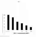 Fig. 02 - Therapeutic agent for keratoconjunctive disorders