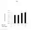 Fig. 04 - Therapeutic agent for keratoconjunctive disorders